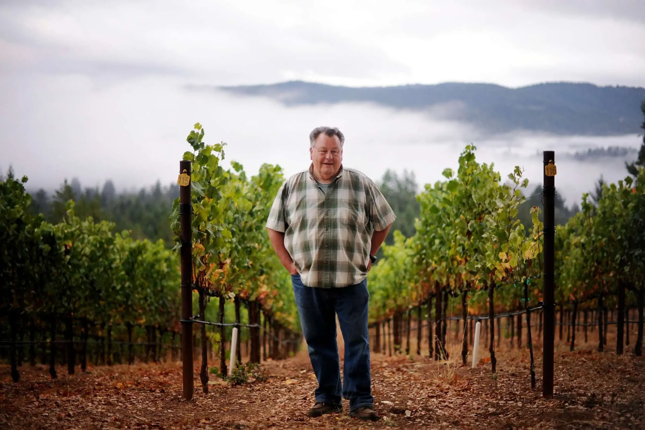 A man stands in a vineyard with rows of grapevines, mist and mountains visible in the background under a cloudy sky.