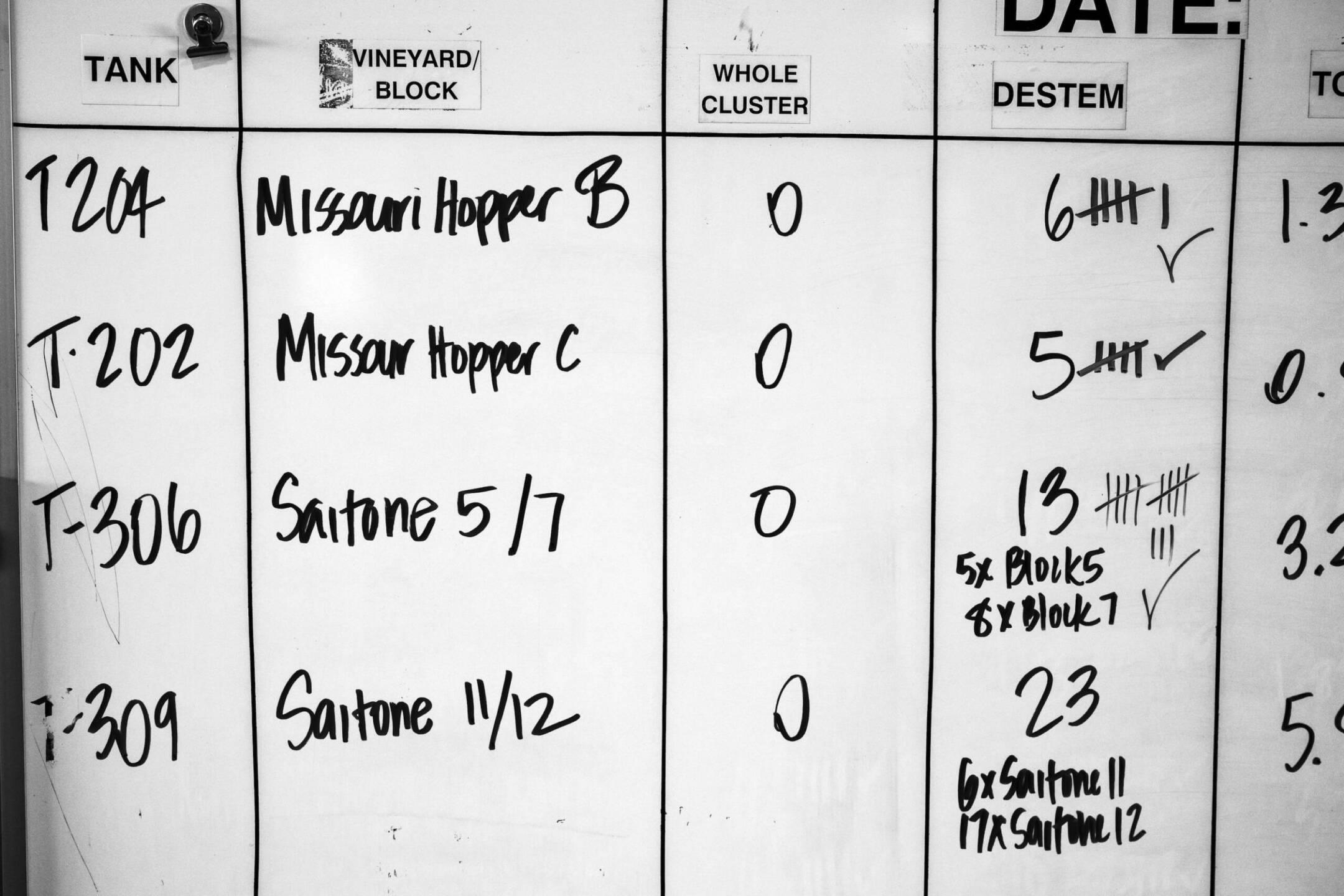 A whiteboard lists tanks, vineyard blocks, whole clusters, and destem counts with handwritten notes, numbers, and tally marks for tracking grape processing.