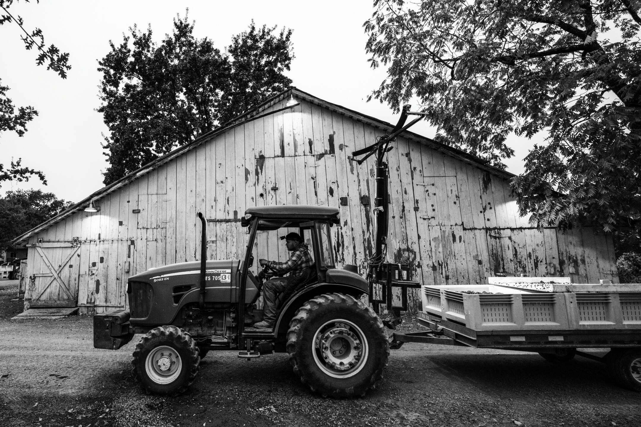 A person drives a tractor pulling a loaded trailer in front of a weathered wooden barn, surrounded by trees.