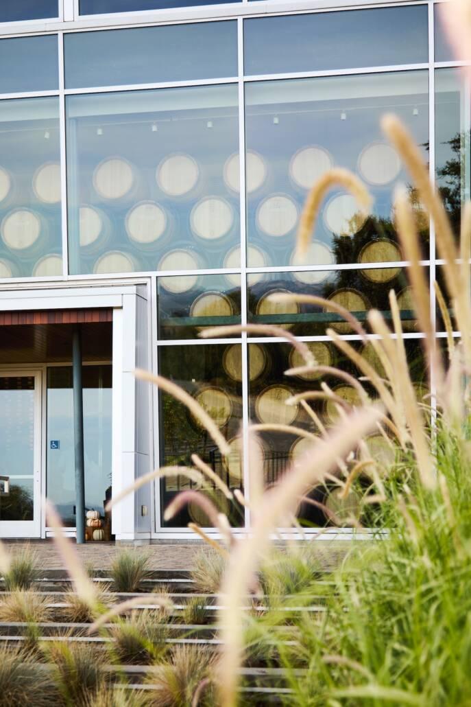A modern glass building with large windows showing stacked wine barrels inside, with tall grasses and steps in the foreground.