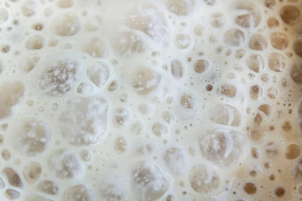 Close-up of bubbly, frothy surface of dough or batter, likely showing active yeast fermentation.