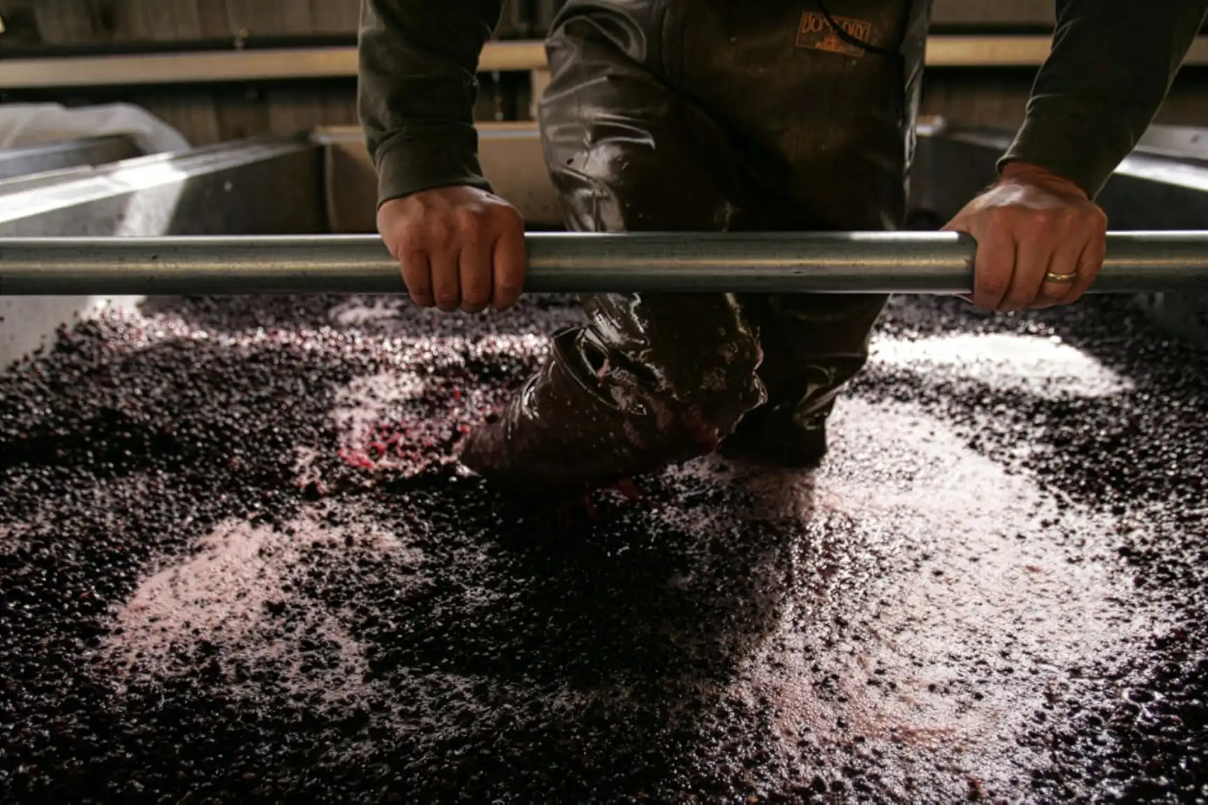 A person in waterproof overalls manually stomps grapes in a large vat during the winemaking process.