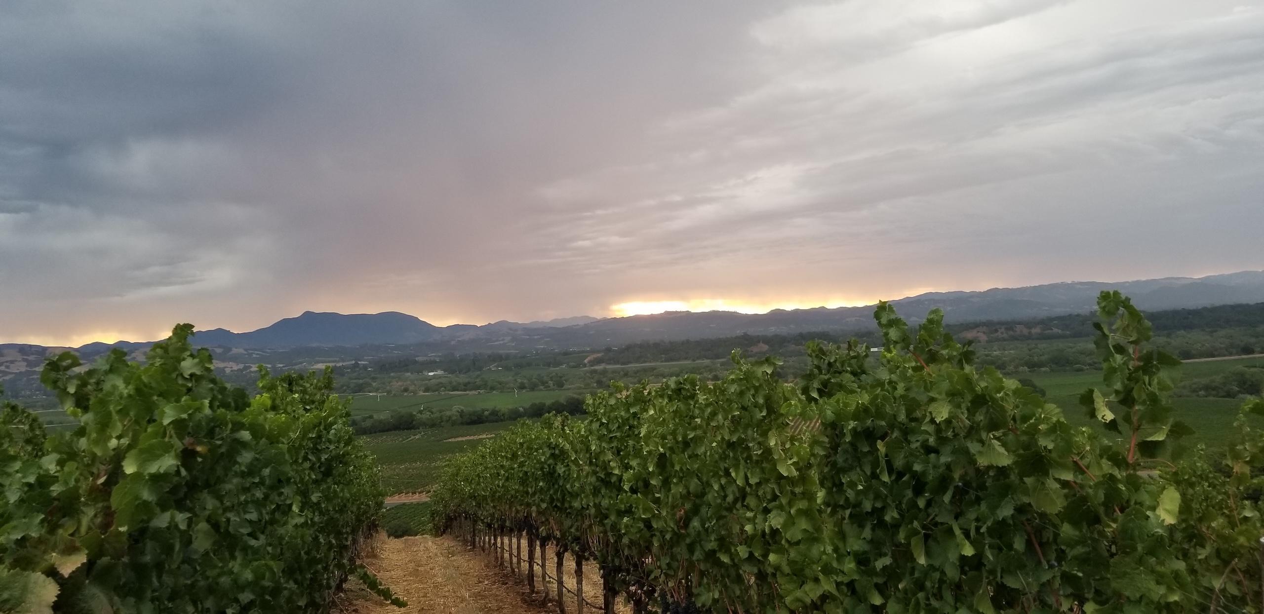 Spring 2021 Newsletter