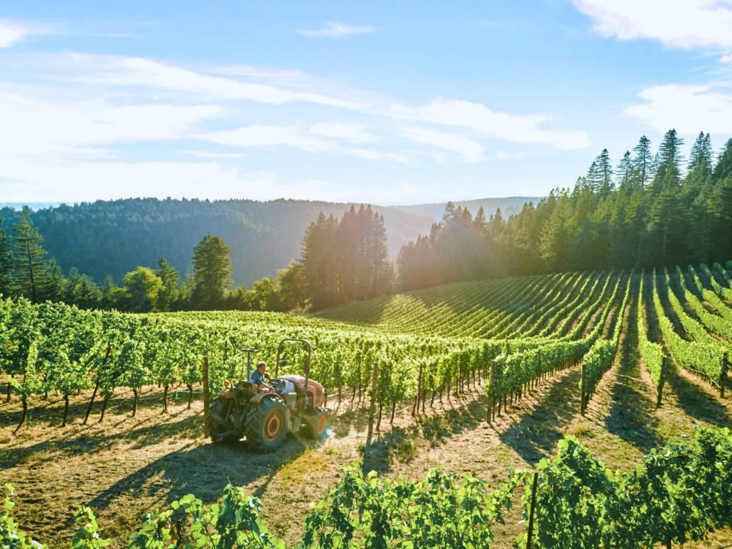 A tractor drives through rows of grapevines on a sunny hillside vineyard surrounded by forested hills.