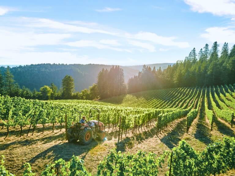 A tractor drives through rows of grapevines on a sunny hillside vineyard surrounded by forested hills.