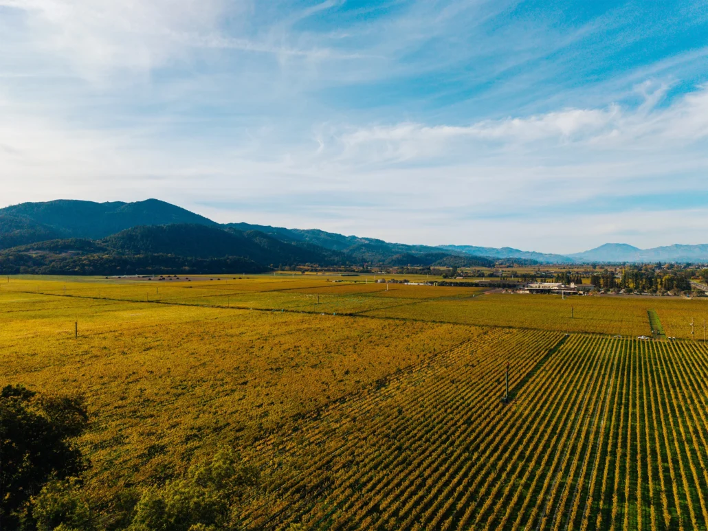 Aerial view of a large vineyard with neatly aligned rows of grapevines, open fields, and distant hills under a blue sky with wispy clouds.