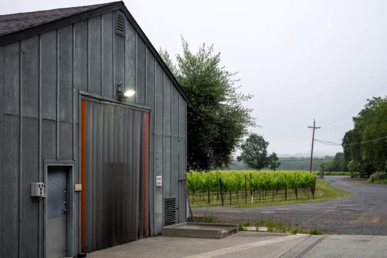 A gray metal barn with an open door sits beside a vineyard and a gravel road on an overcast day.