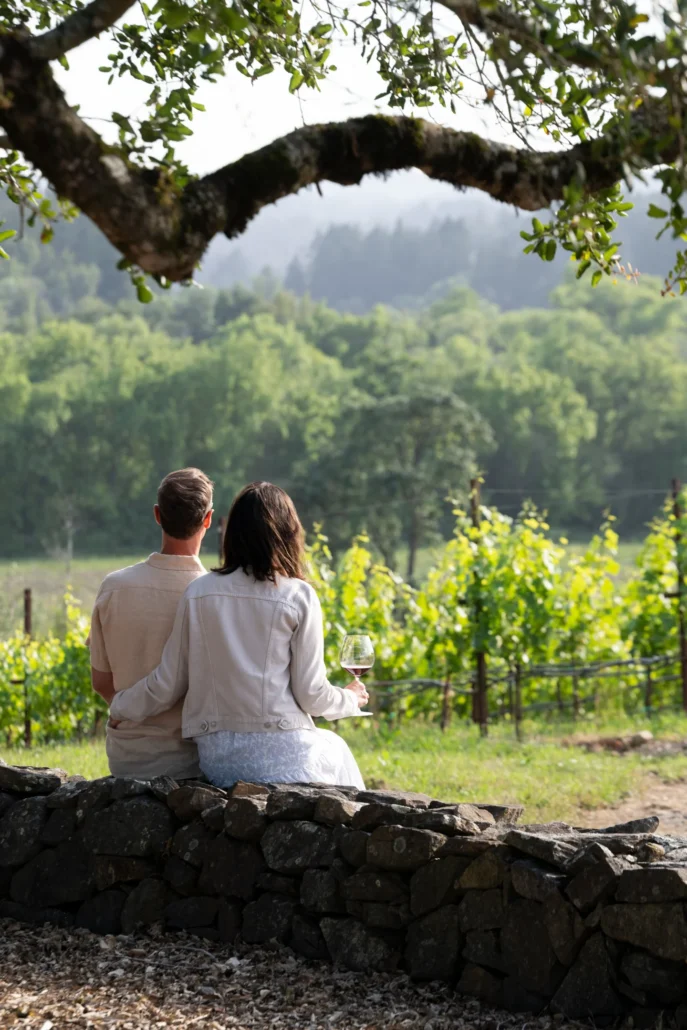 A couple sits on a stone wall facing a vineyard, with greenery and trees in the background; one person holds a glass of wine.